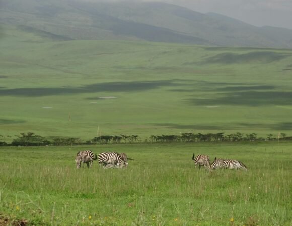 Ngorongoro Crater,