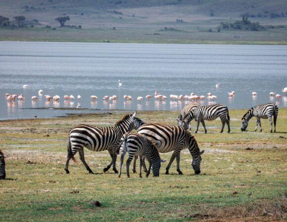 3 Days 2 Nights Tsavo National Park Safari