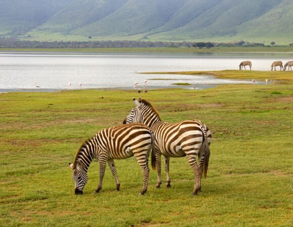 Ngorongoro Crater,