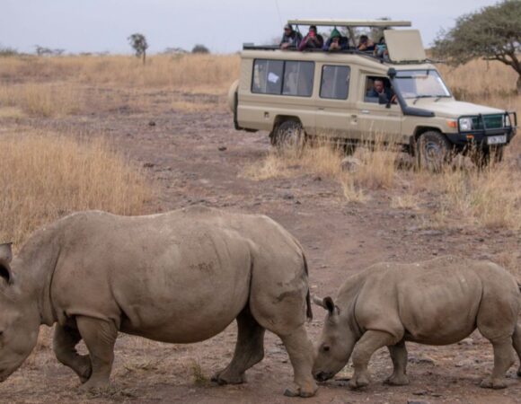 11-Days Kenya wildlife and Diani Beach Safari