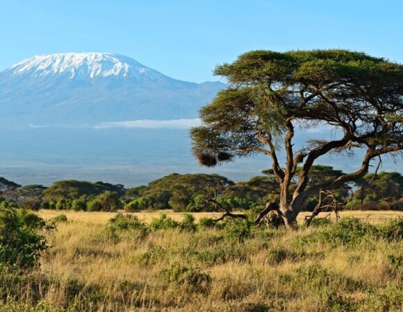 3 Days – 2 Nights Amboseli Wildlife Safari