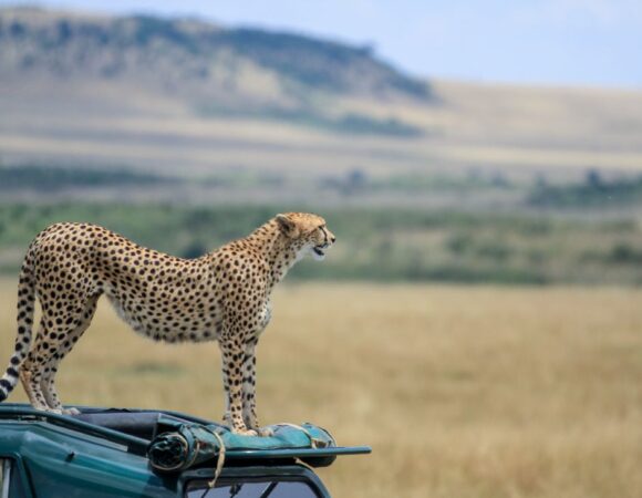 7-Days Amboseli & Tsavo East/West Safari