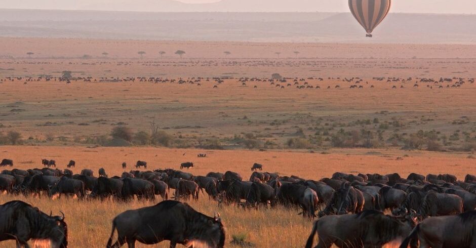 10 Days Luxury Kenya Safari Itinerary