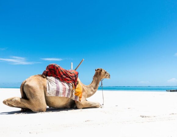 Diani Beach Flying Safari 3-Days 2 Nights