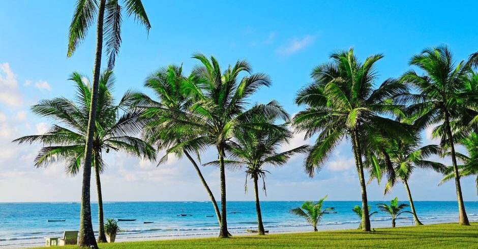 9-Day Luxury Tanzania Tour Package