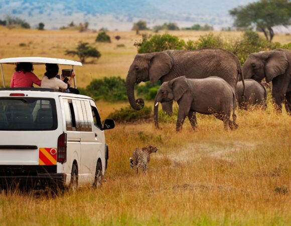 12-Day Kenya and Tanzania Safari Tour