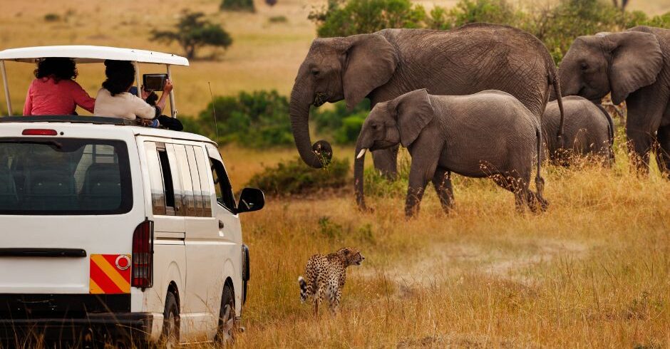 12-Day Kenya and Tanzania Safari Tour