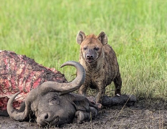 8-Day Luxurious Escapade