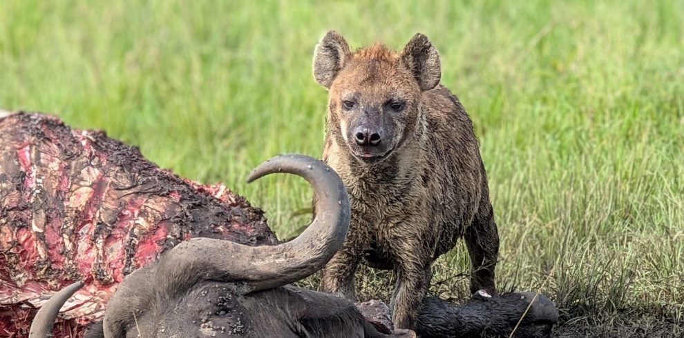 8-Day Luxurious Escapade