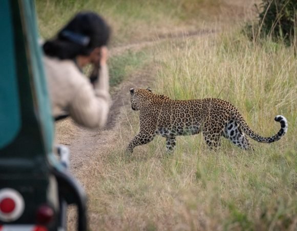 7-Day Luxury Fly-In Namibia Safari: Sossusvlei, Skeleton Coast & Etosha