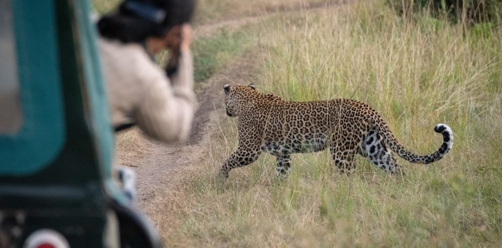 3-Day Taita Hills Wildlife Safari