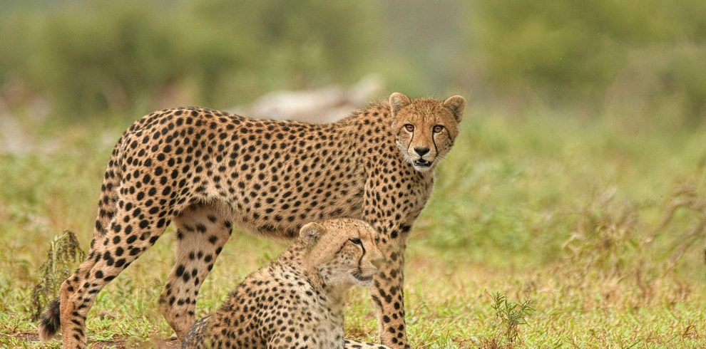 16 days Northern Kenya Adventure