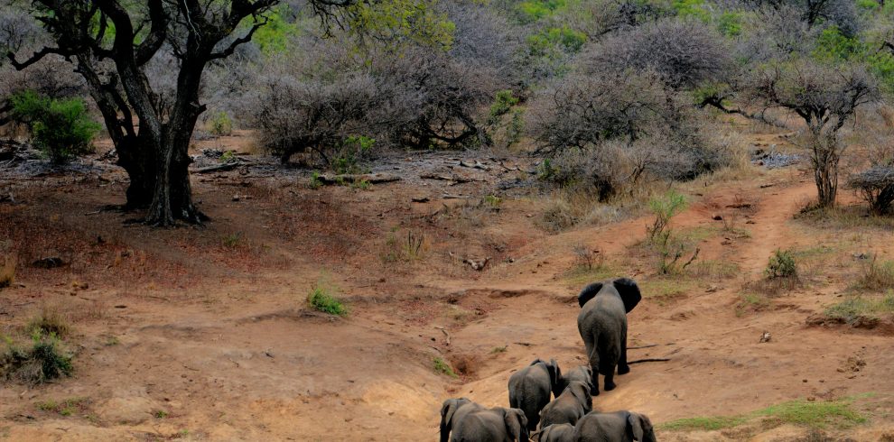 6-Day Big Five and Blue Waves