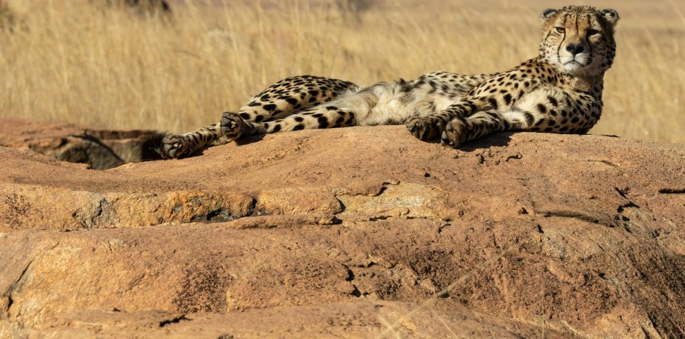 7-Day Ultimate Adventure – Best of Sopa Lodges