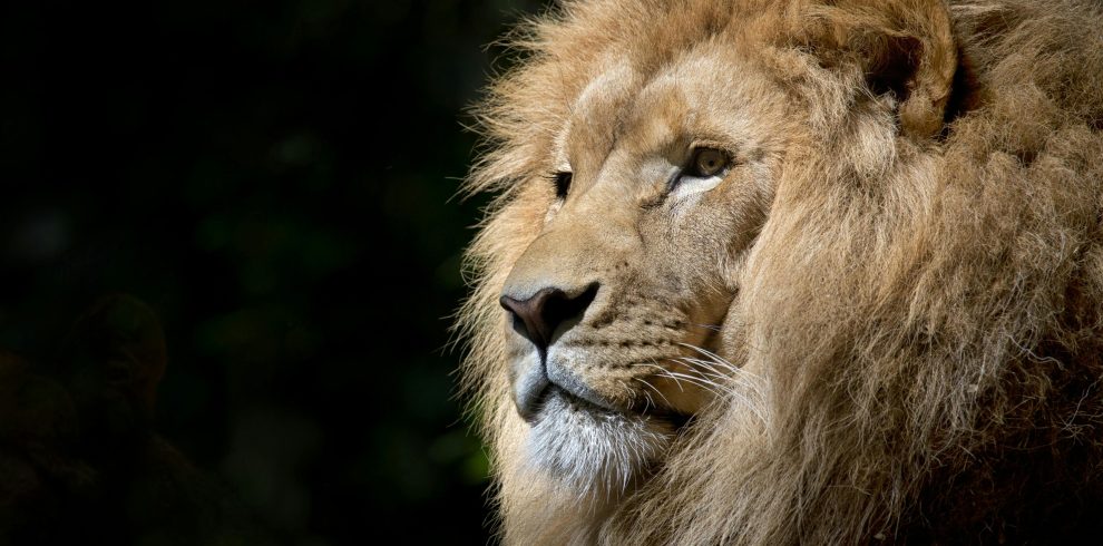 10-Day From Kenya to Tanzania