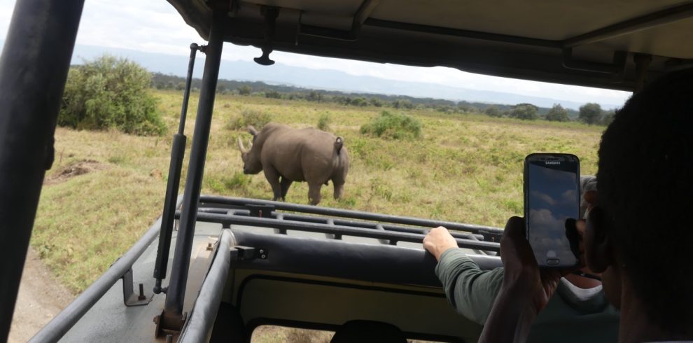 6 Days Fly-In Fly-Out Safari Across Iconic Parks