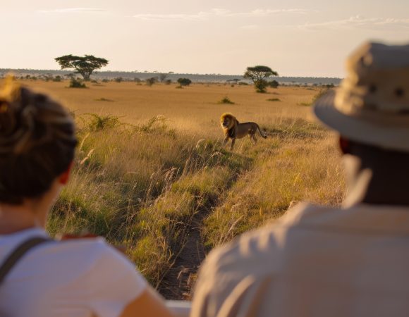 7 Day Budget Safari