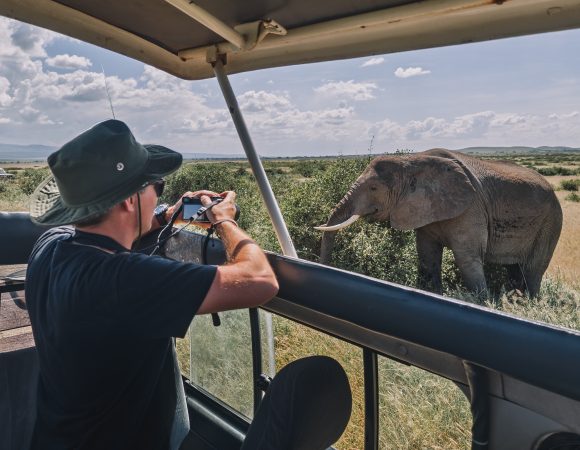 Best High-End Safari Experiences & Lodges