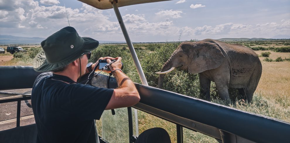8-Day Luxury Safari Across Iconic Parks and Reserves