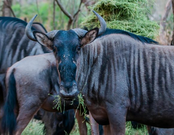 17-Day No Holding Back – Adventure of a Lifetime