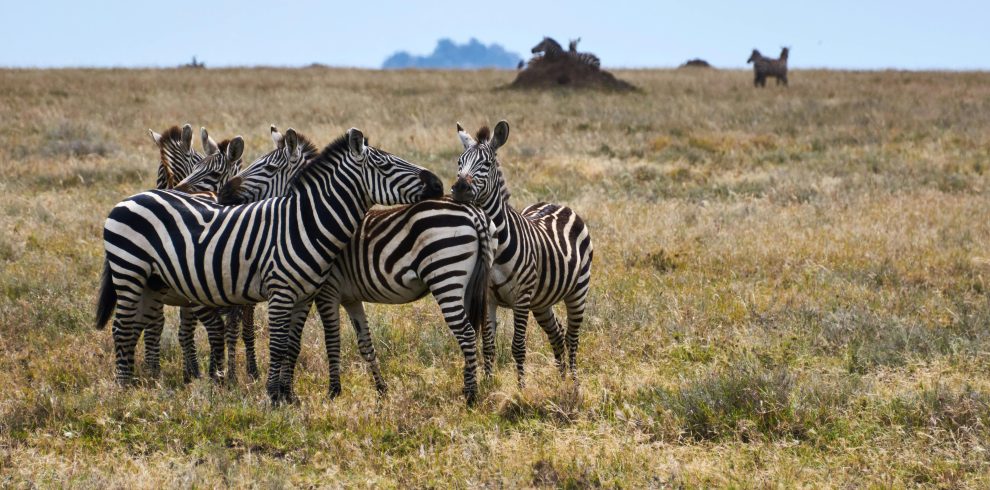 8-Day Luxurious Escapade