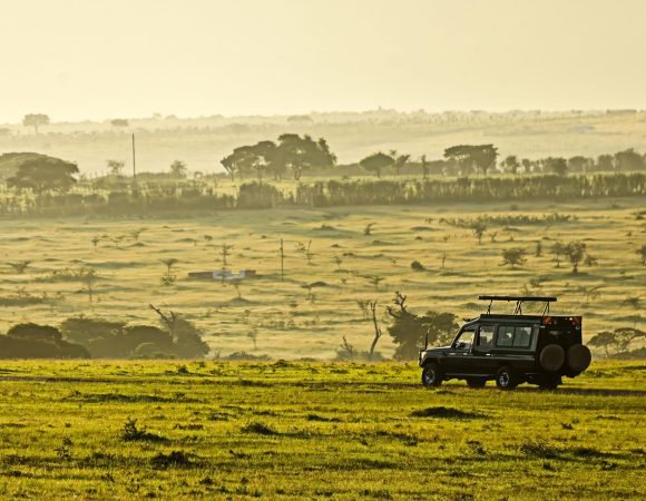 3-Day Eco-Friendly Etosha Self-Drive Safari