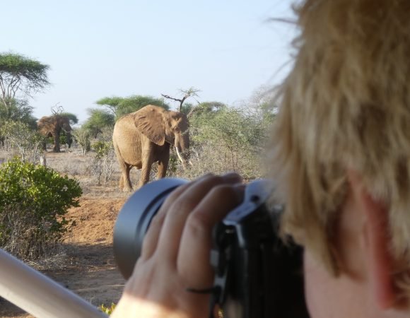 6-Day Chobe NP, Savuti and Moremi GR Explorers