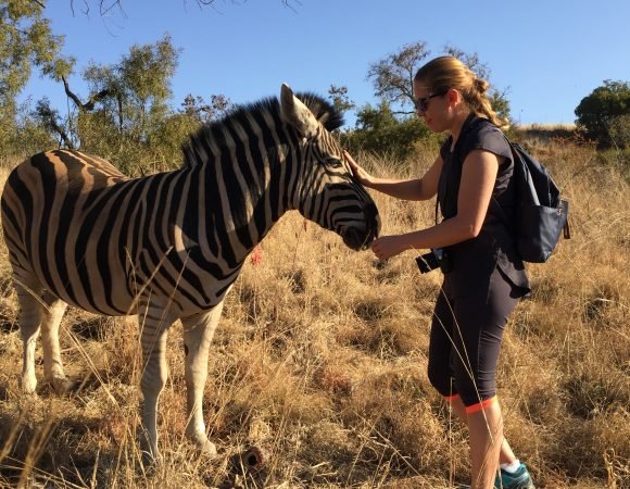 6-Day Namibian Favorites Namibia Safari
