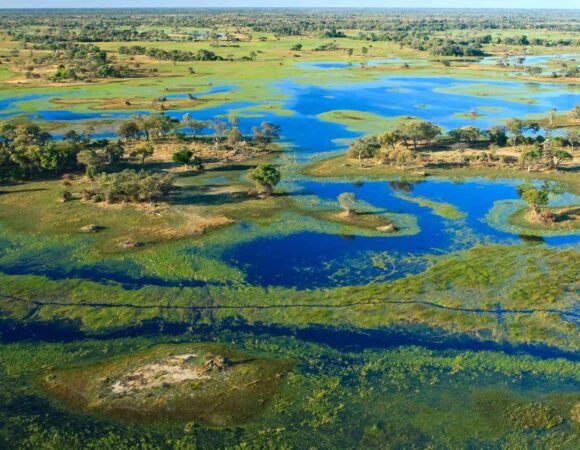 Botswana Safari Tour: Best Places, Activities, Costs and Travel Guide