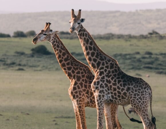 4-Day North of the Equator Expedition